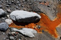 2009 - Iles des Açores