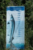 Sibérie 2019-Bargouzine