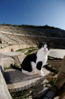 2009 Turquie - Ephèse