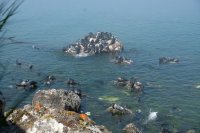 Sibérie 2019-Bargouzine