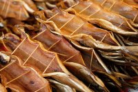 Sibérie 2019-Baïkal Listvianka