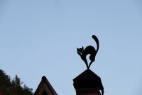 Sibérie 2019-Baïkal Listvianka