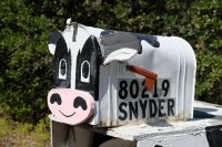  une boîte aux lettres meuh-meuh