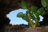 2007 - îles canaries -Lanzarote-