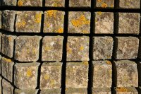 Biennale Venise 2019