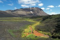 azur, minéral et végetal