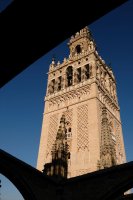 La Giralda, vue des toits de la Cathédrale