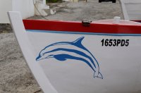 2009 - Iles des Açores