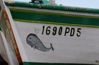 2009 - Iles des Açores