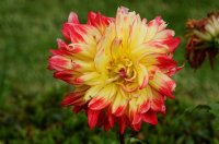 2009 - Iles des Açores