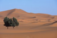 Erg de Merzouga