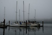  aux environs de Florence