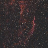  les dentelles du cycgne 