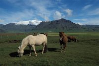 La côte vers le Myrdalsjökull