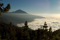 2007 - îles canaries