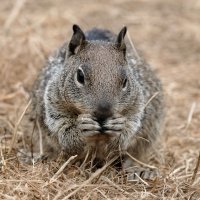  je vous tiens à l'oeil