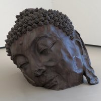 Paris-février 2016 fondation Louis Vuitton