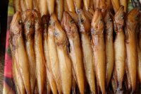 Sibérie 2019-Baïkal Listvianka