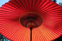  Portland, Jardin Japonais