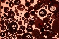 Biennale Venise 2019