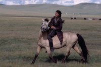 Mongolie