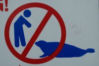  don't f*ck with the phoque!