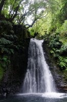 2009 - Iles des Açores