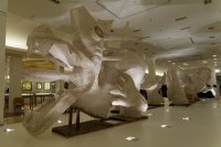 Paris-février 2016 Bon Marché rive gauche