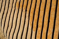 Biennale Venise 2019