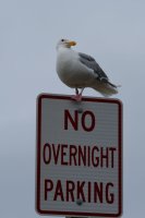  ... et c'est surveillé par des aéronefs