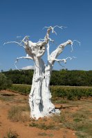  Commanderie de peyrassol 