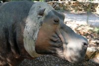  Commanderie de peyrassol 