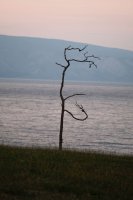 Sibérie 2019-Baïkal, île d'Olkhon