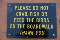  Bon, on arrête de mettre le bazar avec la faune locale...