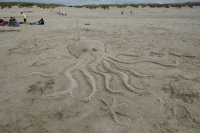  Concours de pâtés de sable à Newport 1 -le poulpe