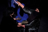 Décorations au henné