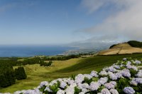 2009 - Iles des Açores