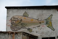 Sibérie 2019-Baïkal, île d'Olkhon