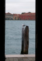 Venise 2019