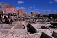 Marrakech: tannerie dans le souk