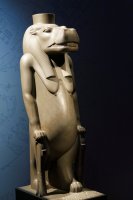 Paris-février 2016 Institut du Monde arabe