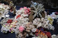 Biennale Venise 2019