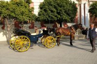 Caléche devant la Cathédrale