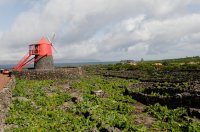 2009 - Iles des Açores