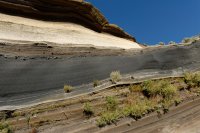 2007 - îles canaries -Tenerife-