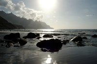 2007 - îles canaries -Tenerife-