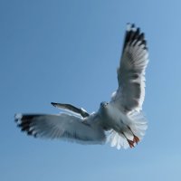 Sibérie 2019-Bargouzine